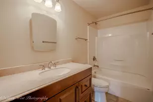 1N164 Stargrass Ln, Elburn, IL 60119 - Photo 30