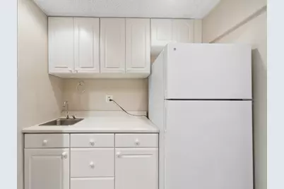875 W Wilson Street, Palatine, IL 60067 - Photo 24