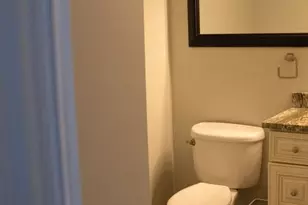17011 Danielle Ct, Oak Forest, IL 60452 - Photo 20