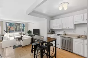 211 E Ohio St, Chicago, IL 60611 - Photo 2