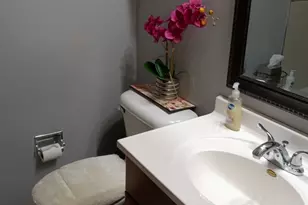 18400 Cherry Creek Dr, Homewood, IL 60430 - Photo 8