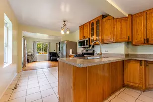 115 N State St, Glenwood, IL 60425 - Photo 6