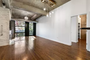 1001 W 15th St, Chicago, IL 60608 - Photo 6