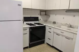 1401 E 55th St, Chicago, IL 60615 - Photo 2