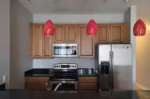 1235 S Prairie Ave, Chicago, IL 60605 - Photo 10