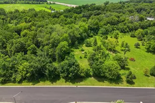 6295 Ravine Ct, Yorkville, IL 60560 - Photo 1