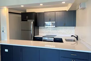 300 N State St, Chicago, IL 60654 - Photo 12