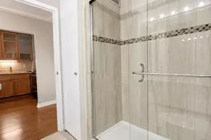 401 E Ontario St, Chicago, IL 60611 - Photo 6