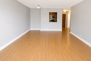 401 E Ontario St, Chicago, IL 60611 - Photo 12