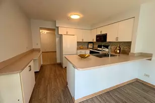 9513 Washington Ave, Morton Grove, IL 60053 - Photo 6