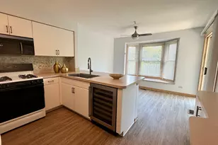 9513 Washington Ave, Morton Grove, IL 60053 - Photo 4