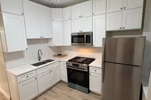 1455 N Washtenaw Ave, Chicago, IL 60622 - Photo 6