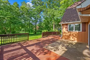 616 Joy Ln, Sleepy Hollow, IL 60118 - Photo 44
