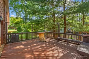 616 Joy Ln, Sleepy Hollow, IL 60118 - Photo 42