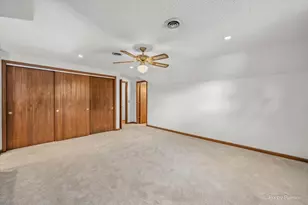 616 Joy Ln, Sleepy Hollow, IL 60118 - Photo 24