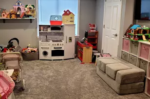 25439 Bower Ct, Plainfield, IL 60585 - Photo 24