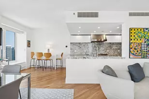 161 E Chicago Ave, Chicago, IL 60611 - Photo 14