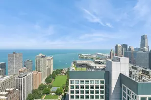 161 E Chicago Ave, Chicago, IL 60611 - Photo 38