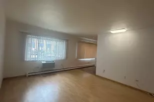 8667 1/2 W Foster Ave, Chicago, IL 60656 - Photo 4