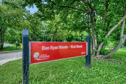 9101 S Hoyne Avenue, Chicago, IL 60643 - Photo 22
