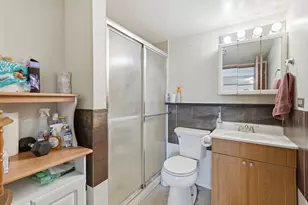 700 Michigan Ave, South Elgin, IL 60177 - Photo 10