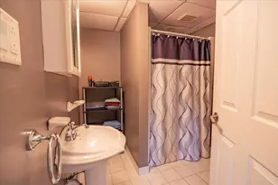 1 Fraher Dr, Odell, IL 60460 - Photo 32