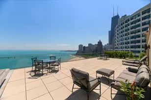 1200 N Lake Shore Dr, Chicago, IL 60610 - Photo 22