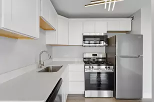 2901 S Michigan Ave, Chicago, IL 60616 - Photo 4