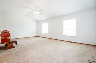 5616 W Von Ave, Monee, IL 60449 - Photo 18