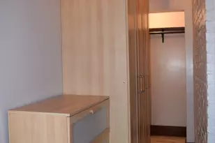 3206 S Wallace St, Chicago, IL 60616 - Photo 22