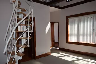3206 S Wallace St, Chicago, IL 60616 - Photo 2
