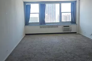 555 W Cornelia Ave, Chicago, IL 60657 - Photo 4