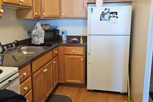 555 W Cornelia Ave, Chicago, IL 60657 - Photo 6