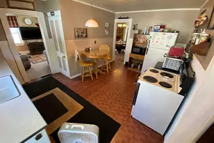 217 W Railroad St, Lena, IL 61048 - Photo 4