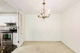 1555 N Sandburg Terrace, Chicago, IL 60610 - Photo 8