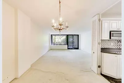1555 N Sandburg Terrace #206, Chicago, IL 60610 - Photo 10