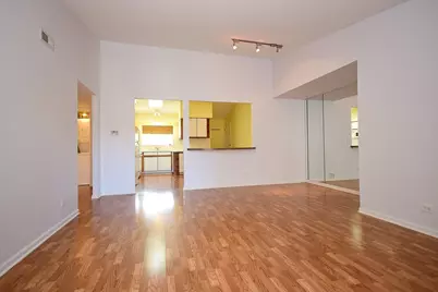 5351 N East River Road #203, Chicago, IL 60656 - Photo 8