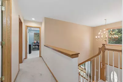 25619 S Bristol Lane, Monee, IL 60449 - Photo 20