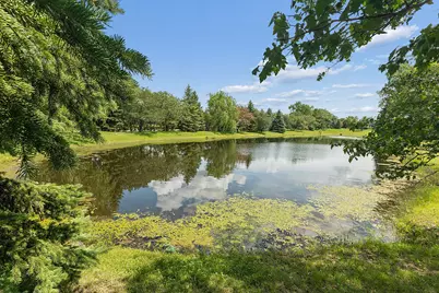 25619 S Bristol Lane, Monee, IL 60449 - Photo 48