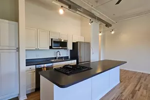 809 N Racine Ave, Chicago, IL 60642 - Photo 10