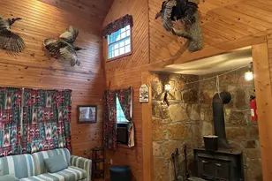 153 Rock Creek Rd, Cave In Rock, IL 62919 - Photo 10