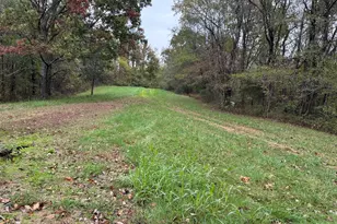 153 Rock Creek Rd, Cave In Rock, IL 62919 - Photo 14