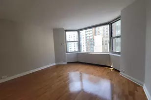 535 N Michigan Ave, Chicago, IL 60611 - Photo 2