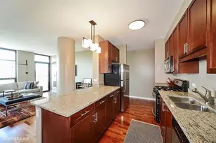 1255 S State St, Chicago, IL 60605 - Photo 6