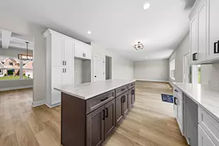 933 Covey Lane, Coal City, IL 60416 - Photo 6