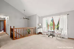 2494 Forest View Rd, Lindenhurst, IL 60046 - Photo 4