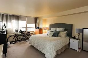 3950 N Lake Shore Dr, Chicago, IL 60613 - Photo 12