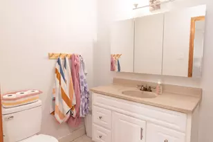 15713 Old Orchard Ct, Orland Park, IL 60462 - Photo 32