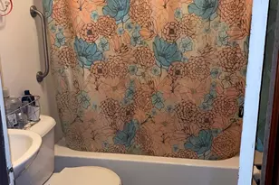12 Jessie St, Joliet, IL 60433 - Photo 6