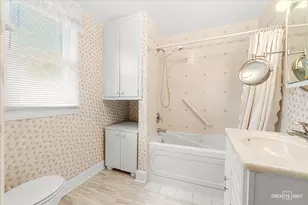 386 E Chicago St, Elgin, IL 60120 - Photo 16